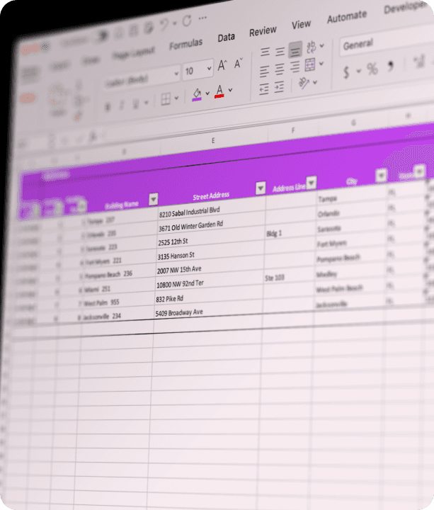 Spreadsheet data cleansed by PING.Ready